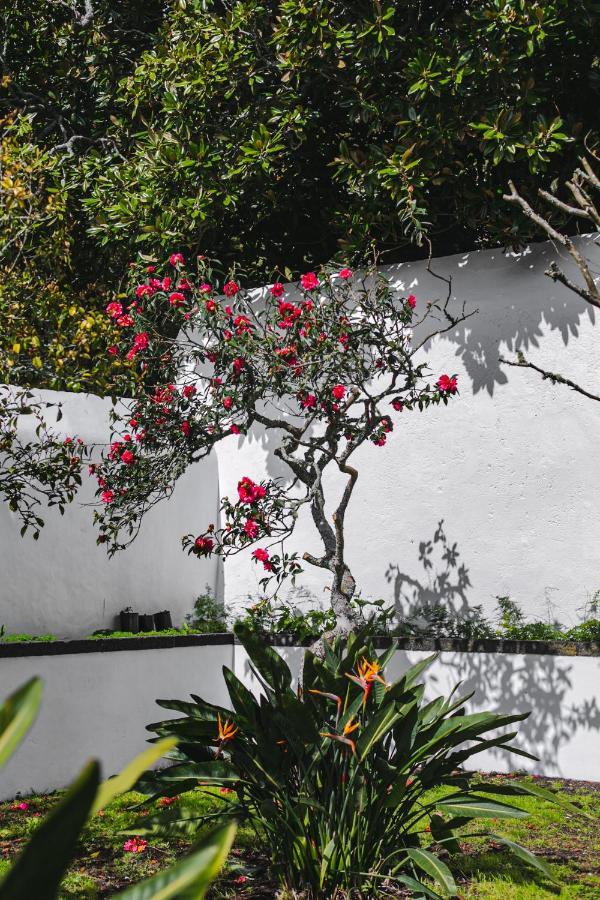 Quinta Dos Misterios- Turismo De Habitacao Leilighet Fajã de Santo Amaro Eksteriør bilde